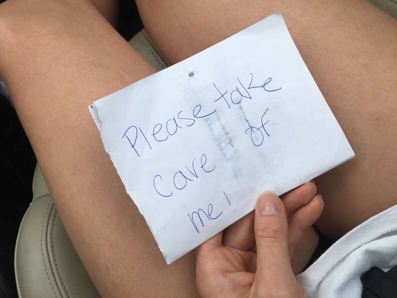 Note with abandoned dog