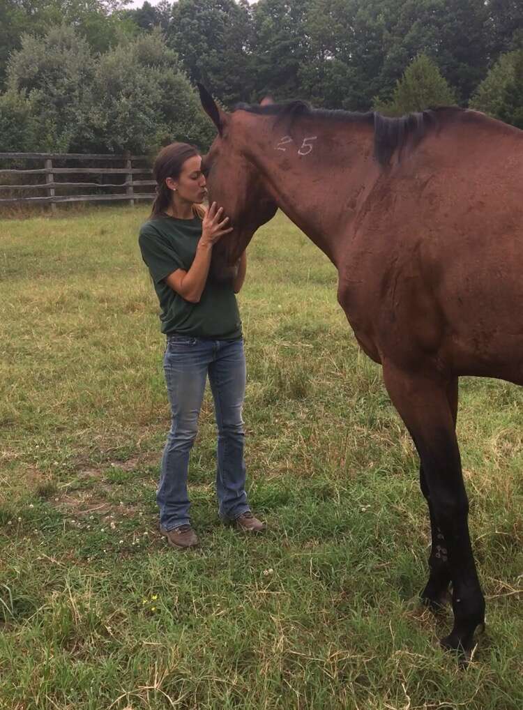 Woman hugging rescue horse