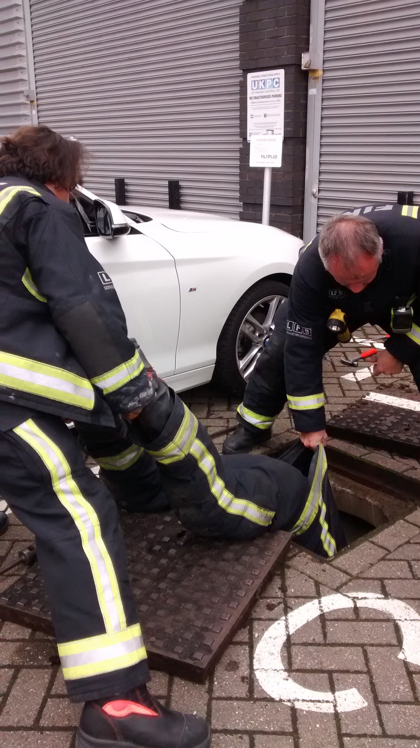 Rescuers Flush Out Kitten Stuck In Drain Pipe The Dodo