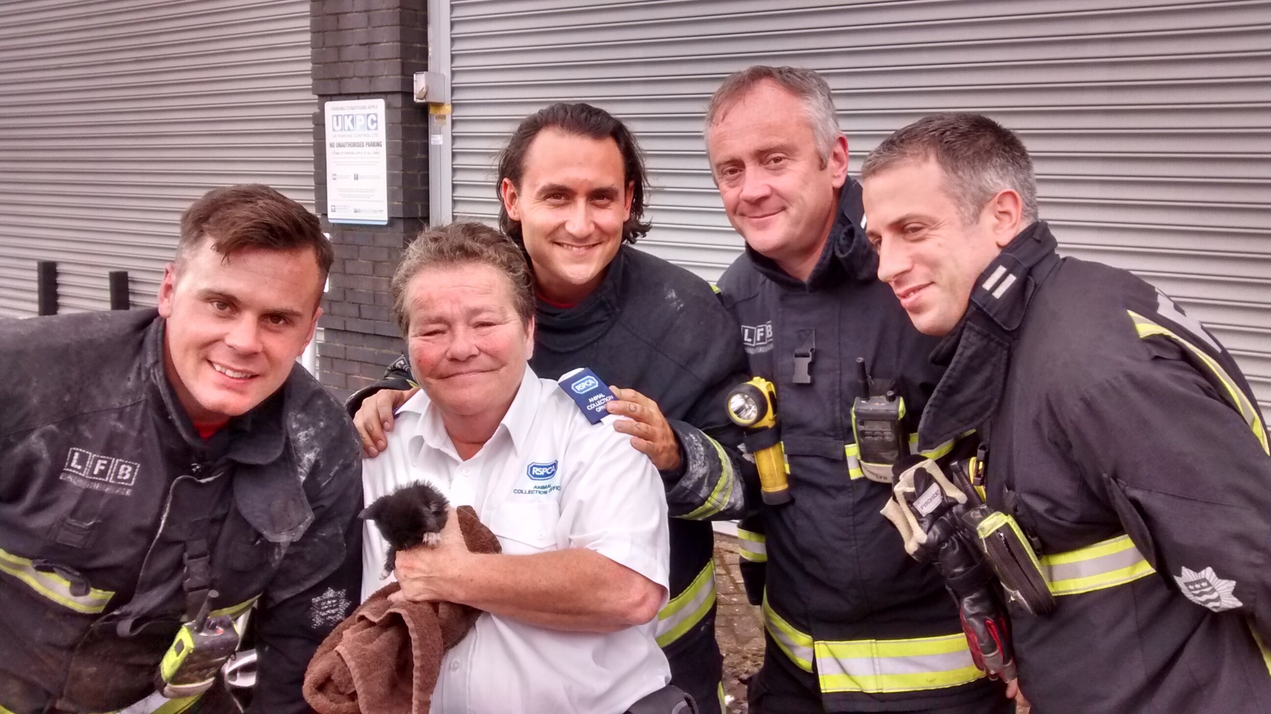 Rescuers Flush Out Kitten Stuck In Drain Pipe The Dodo