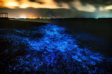 Bioluminescent water glowing along the shores of the Maldives 