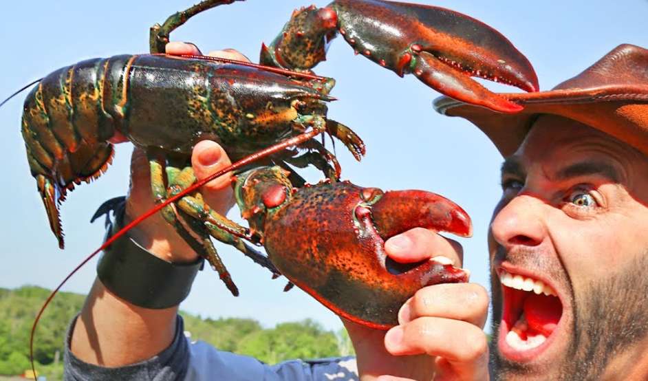 Coyote Peterson Shows How Much It Hurts to Be Pinched By a Lobster Thrillist