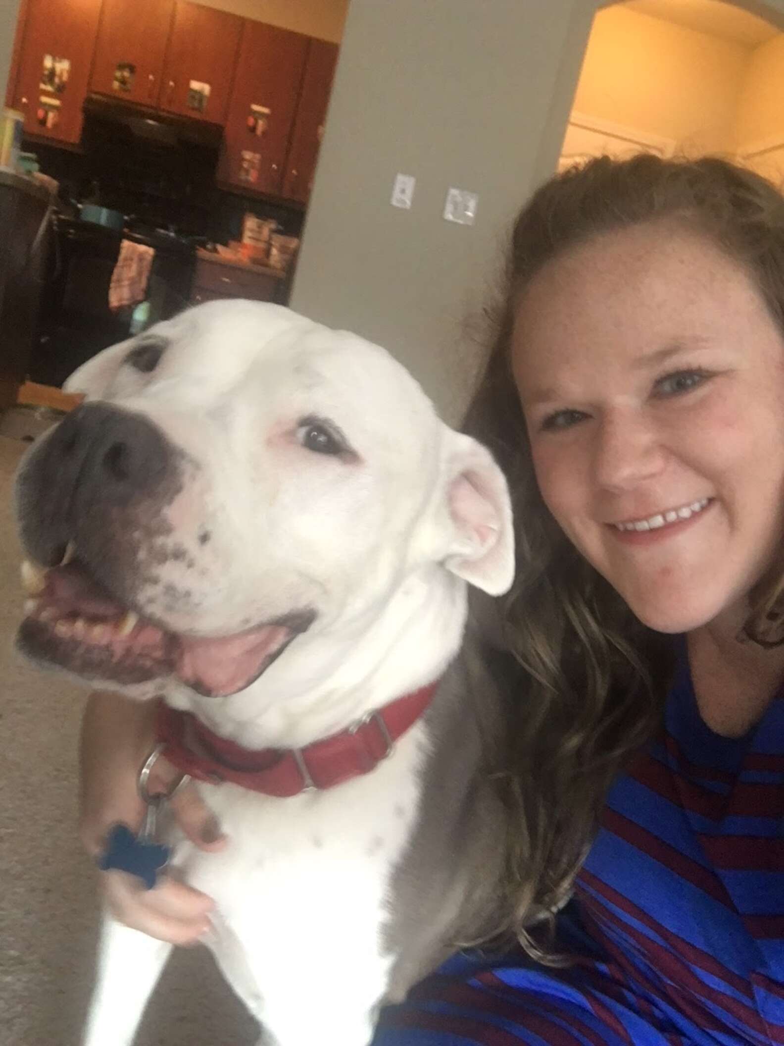 Woman Sees A Deaf, Dying Shelter Dog And Decides To Take Her Home - The ...