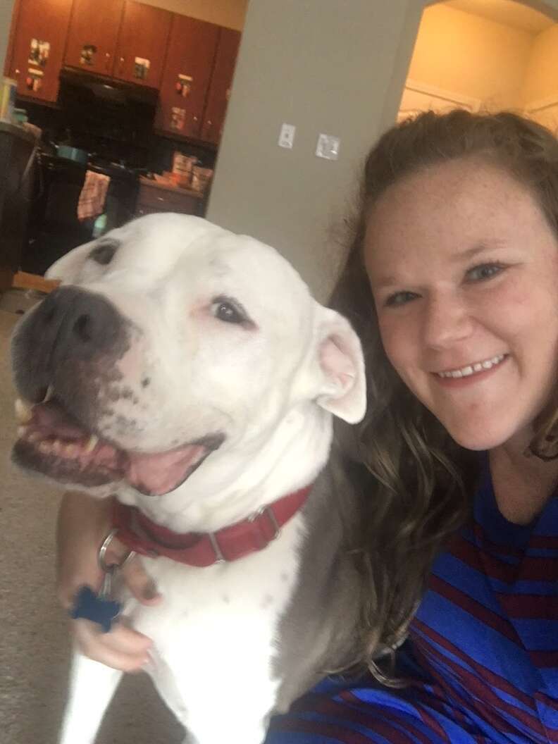 adopted pit bull