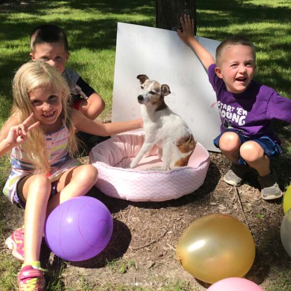 kids throw party for dying foster dog