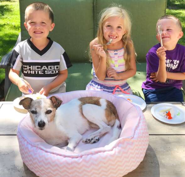 kids throw party for dying foster dog