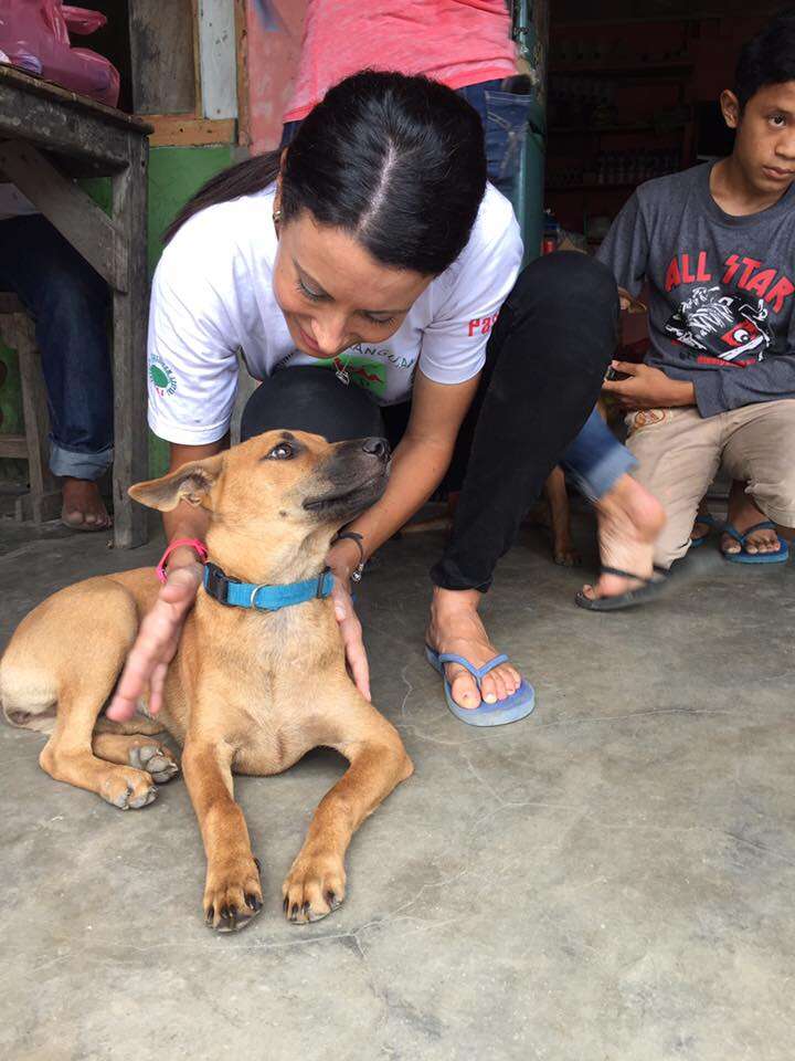 This Woman Is Helping Dogs No One Else Cares About - The Dodo