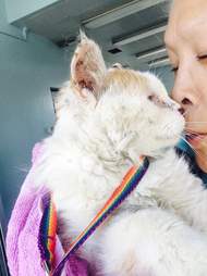 Woman cuddling rescue cat