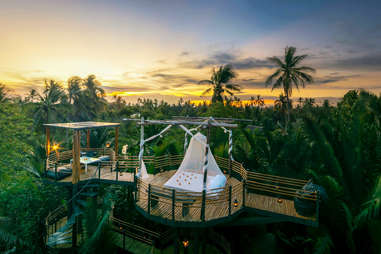 Bangkok Tree House