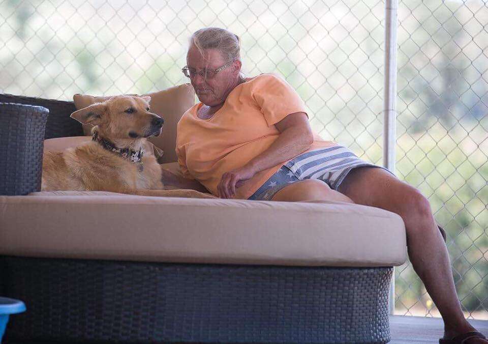 Rescue dog resting with woman