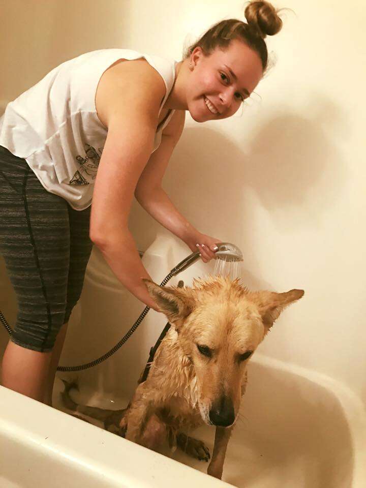 Rescue dog getting bath