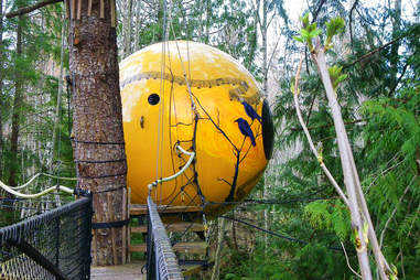 Free Spirit Spheres