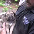 Puppies Rescued From Muddy Hole