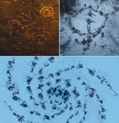 game of thrones spirals