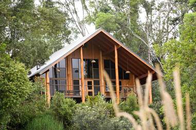 Canopy Treehouses
