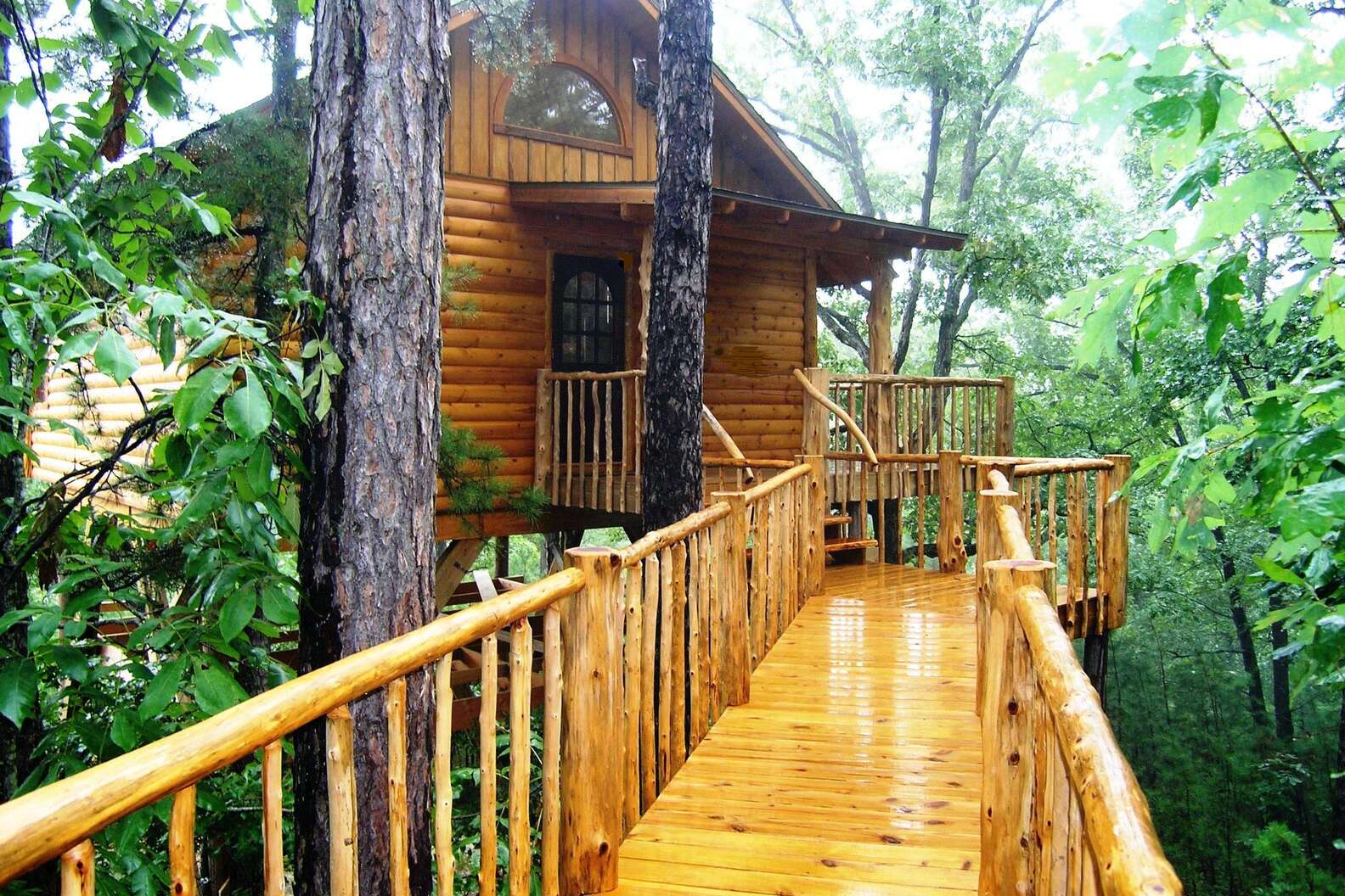 Courtesy of The Original Treehouse Cottages