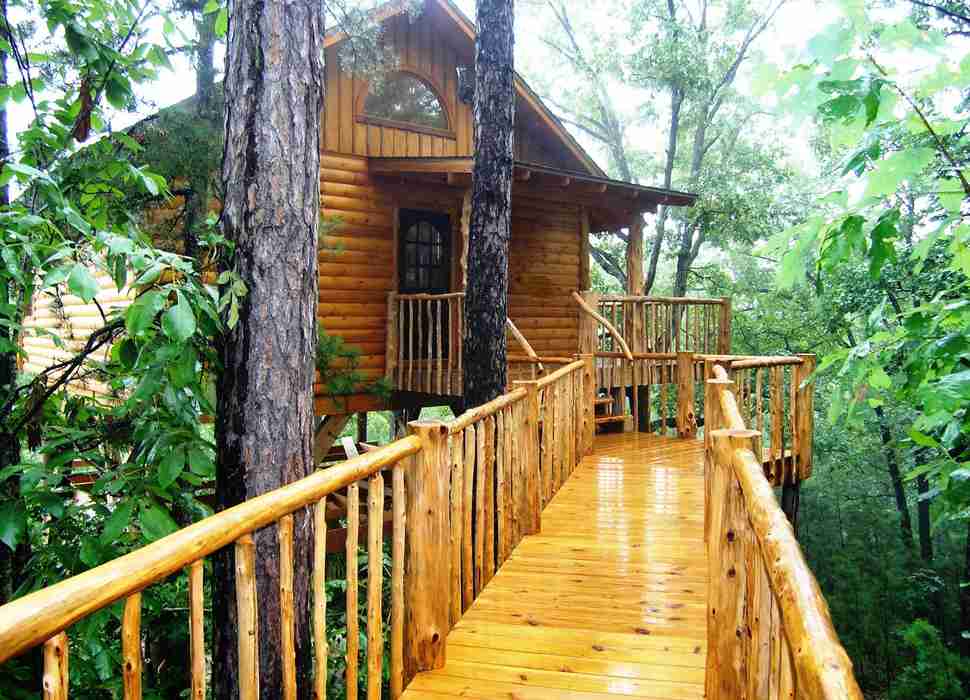 Best Treehouse Hotels in the World: Cool Treehouse Resorts You Can Book
