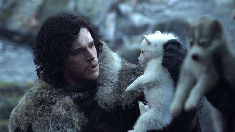 Direwolves in Game of Thrones