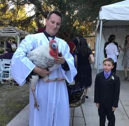 rescue turkey guest of honor at wedding