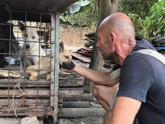Man helping dog in cage