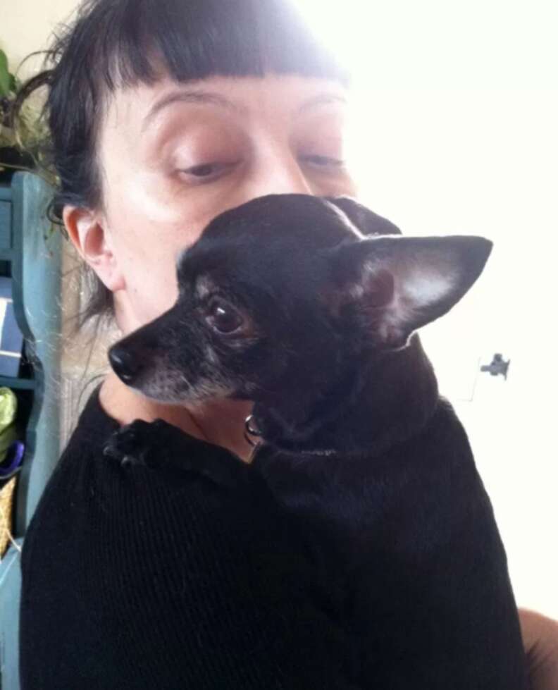 Fospice dogs best sale