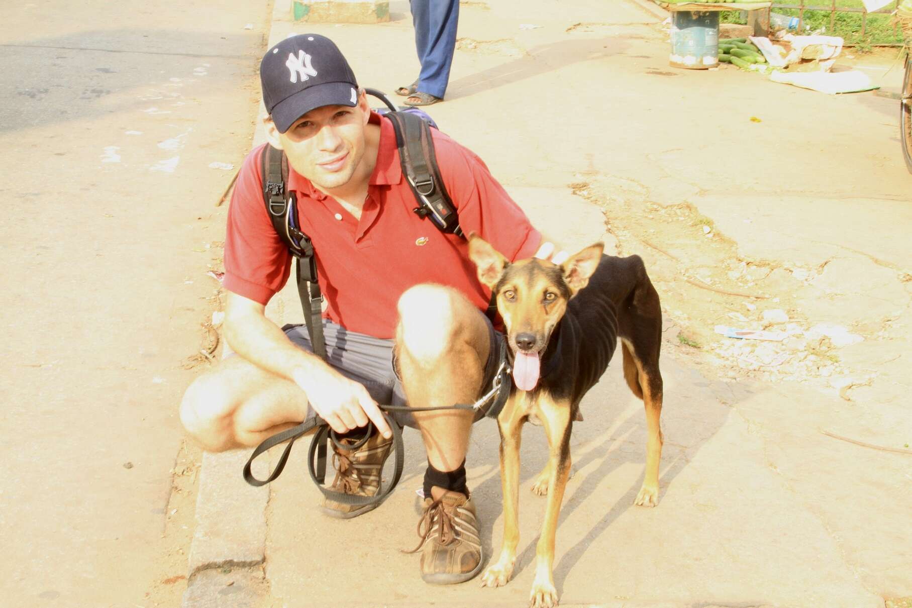 indian street dog loves to travel