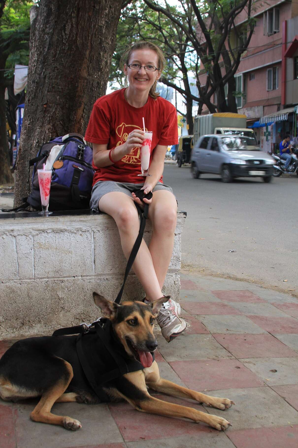 indian street dog loves to travel