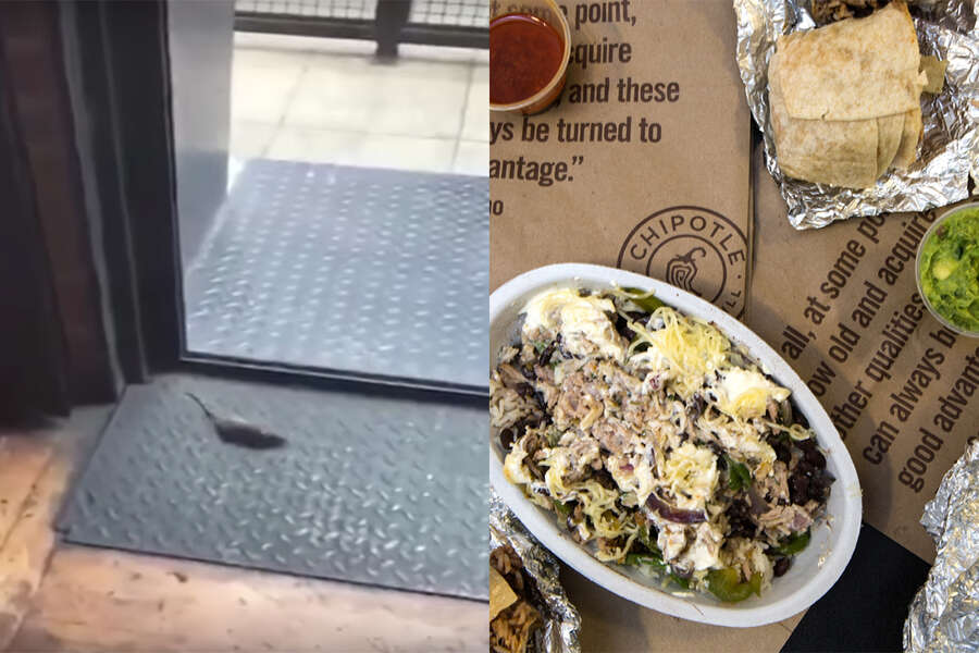 Chipotle Infested Chipotle Closes Dallas Restaurant After Mice Incident - Thrillist