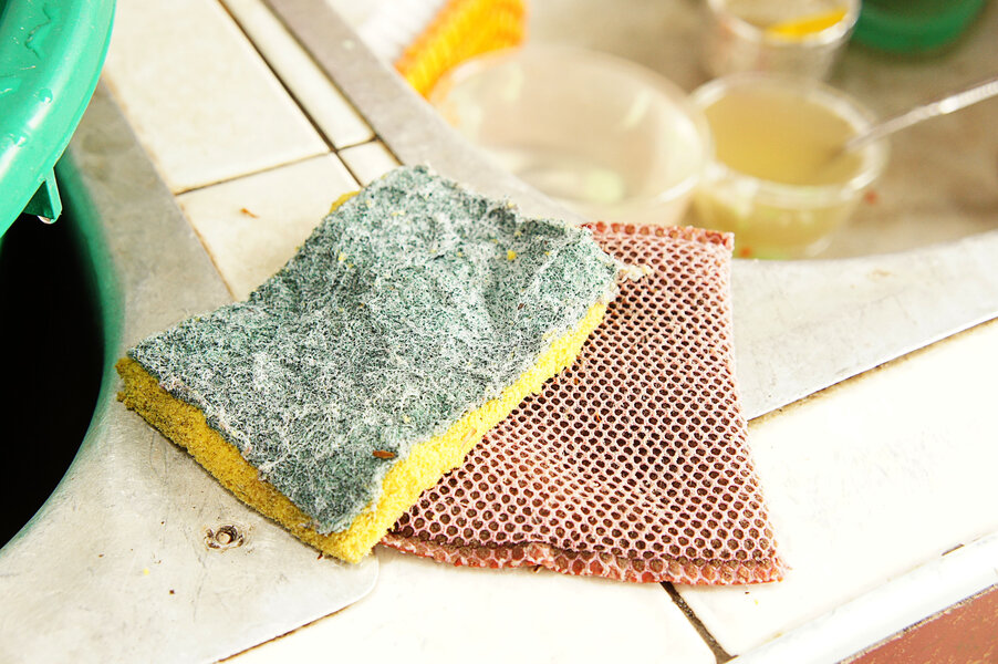 The Surprising Structural Reason Your Kitchen Sponge is Disgusting