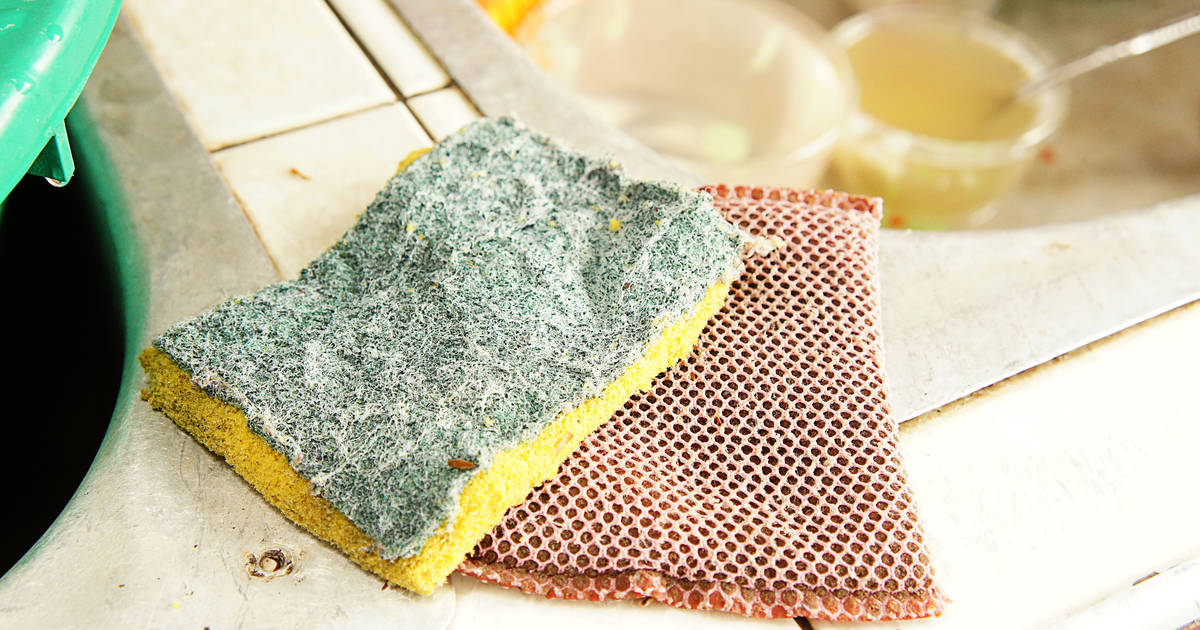 The Dirty Little Secret Inside Your Kitchen Sponge - Health News Hub