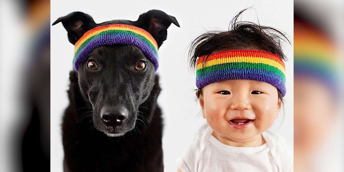 Woman Finds Her Long Lost Foster Puppy Online - The Dodo