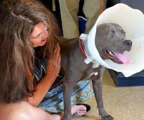 Woman helping abandoned dog