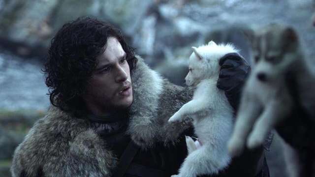 Actor holding up husky in Game of Thrones
