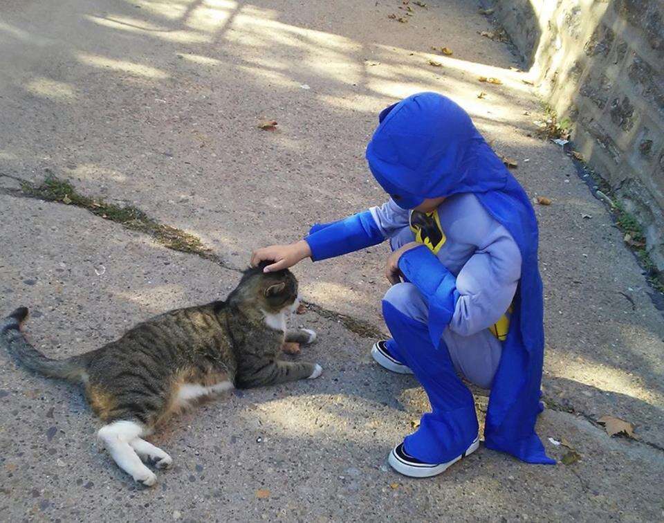 Boy in superhero outfit feeding cats