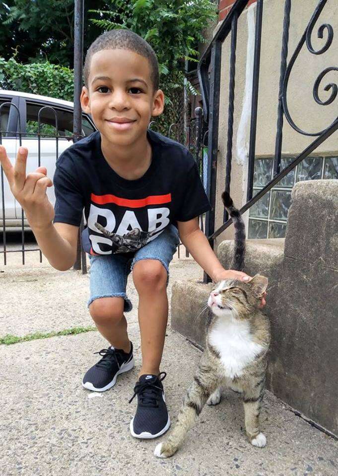 Little boy petting street cat