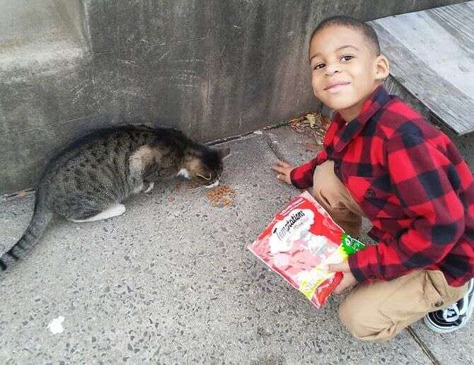 Little boy feeding street cat