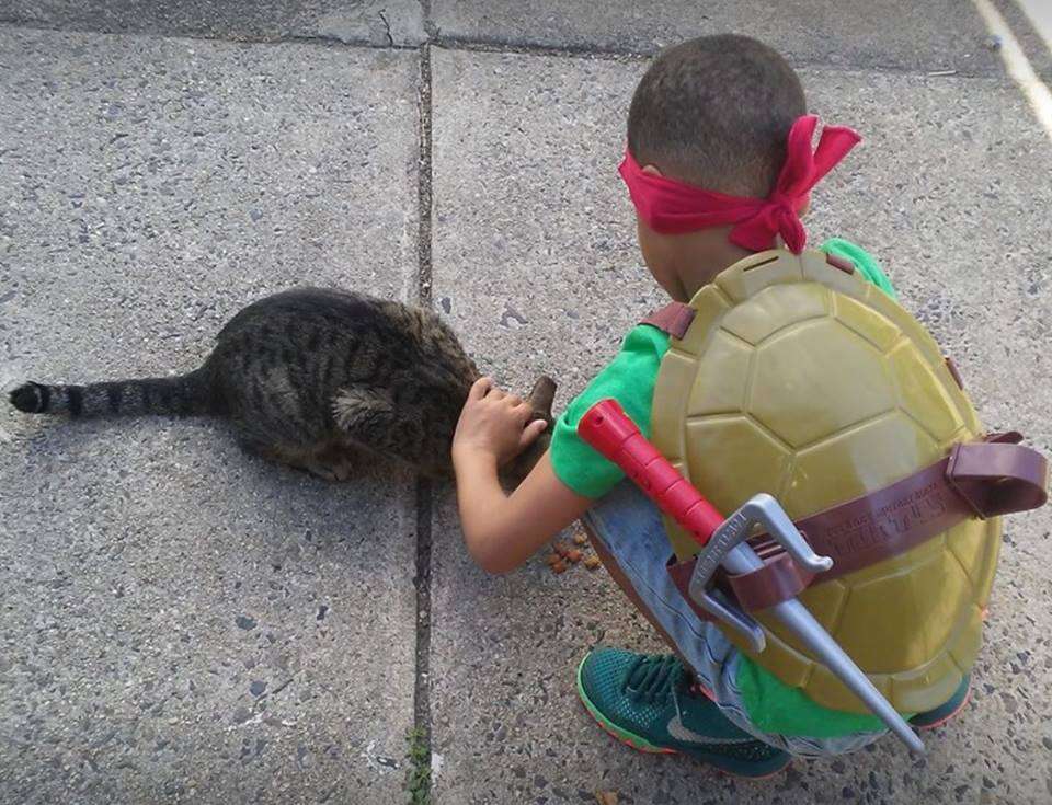 Little boy petting street cat