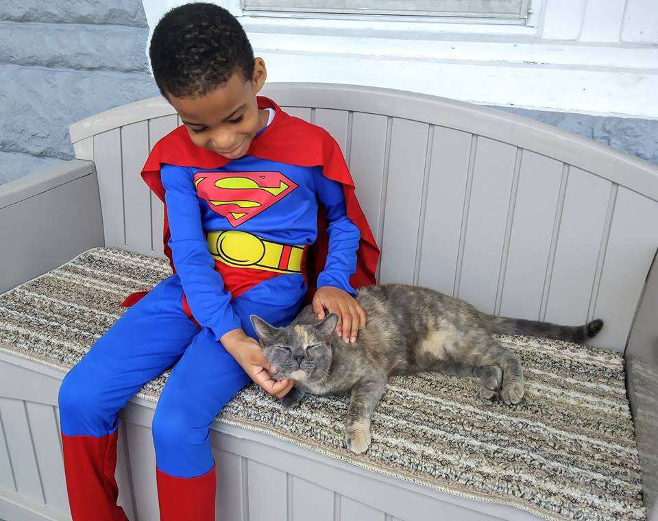 Little boy in costume petting cat