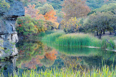 lost maples state natural area