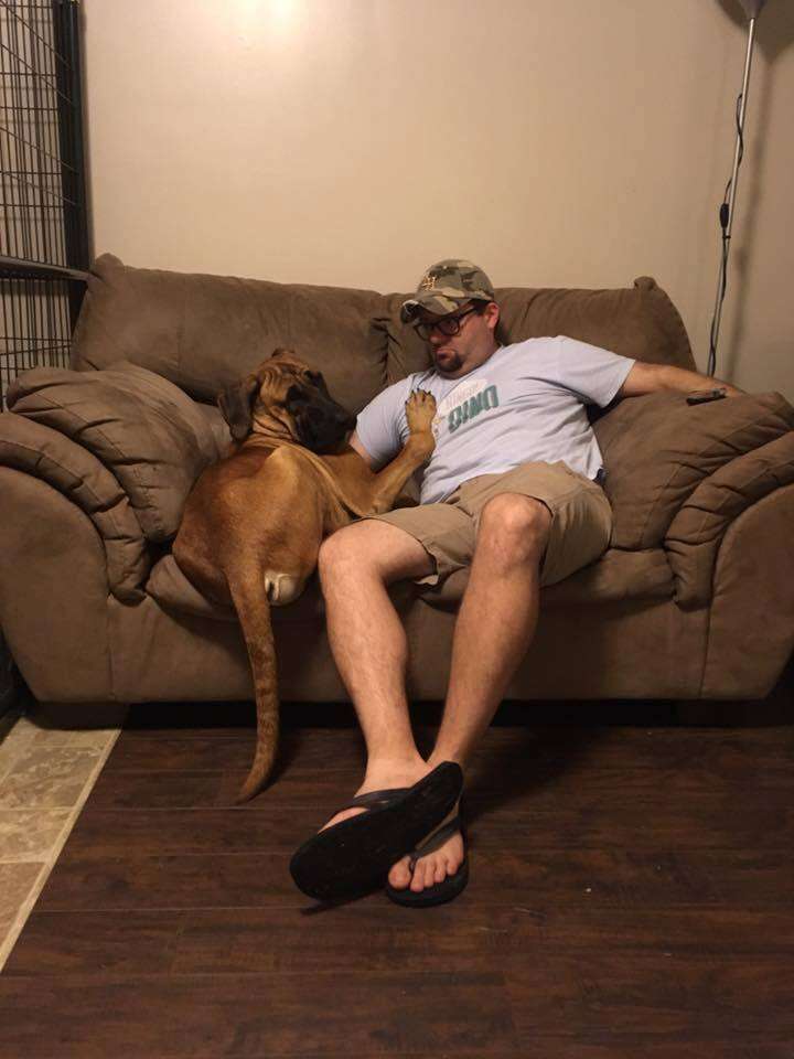 Dog on couch with man