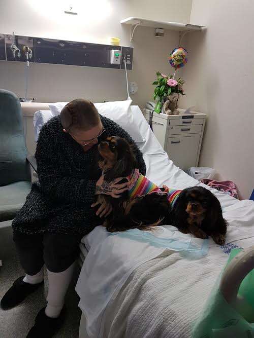 Therapy dogs with woman in hospital