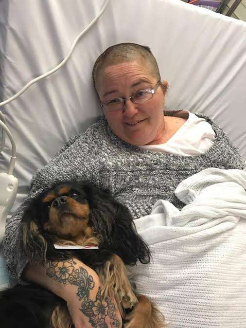 Therapy dog with woman in hospital