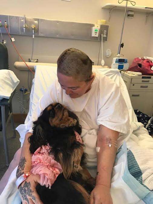 Therapy dog visiting woman in hospital