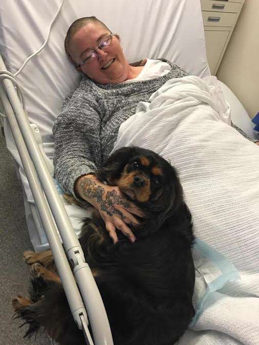 Therapy dog with woman in hospital