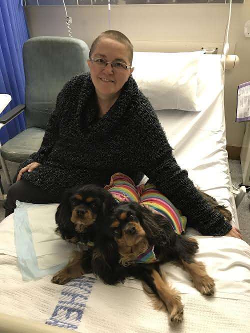 Therapy dogs visiting woman in hospital