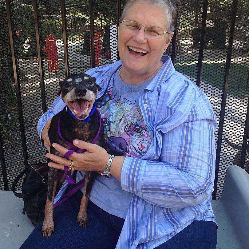 Woman holding shelter dog