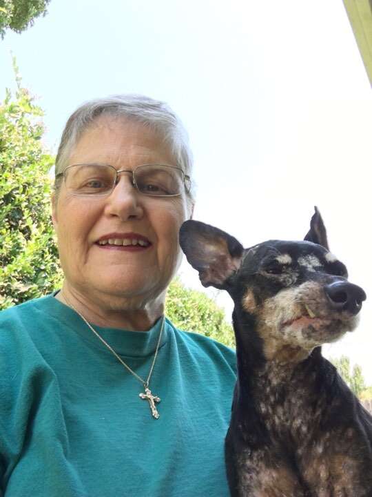 Older woman and senior dog