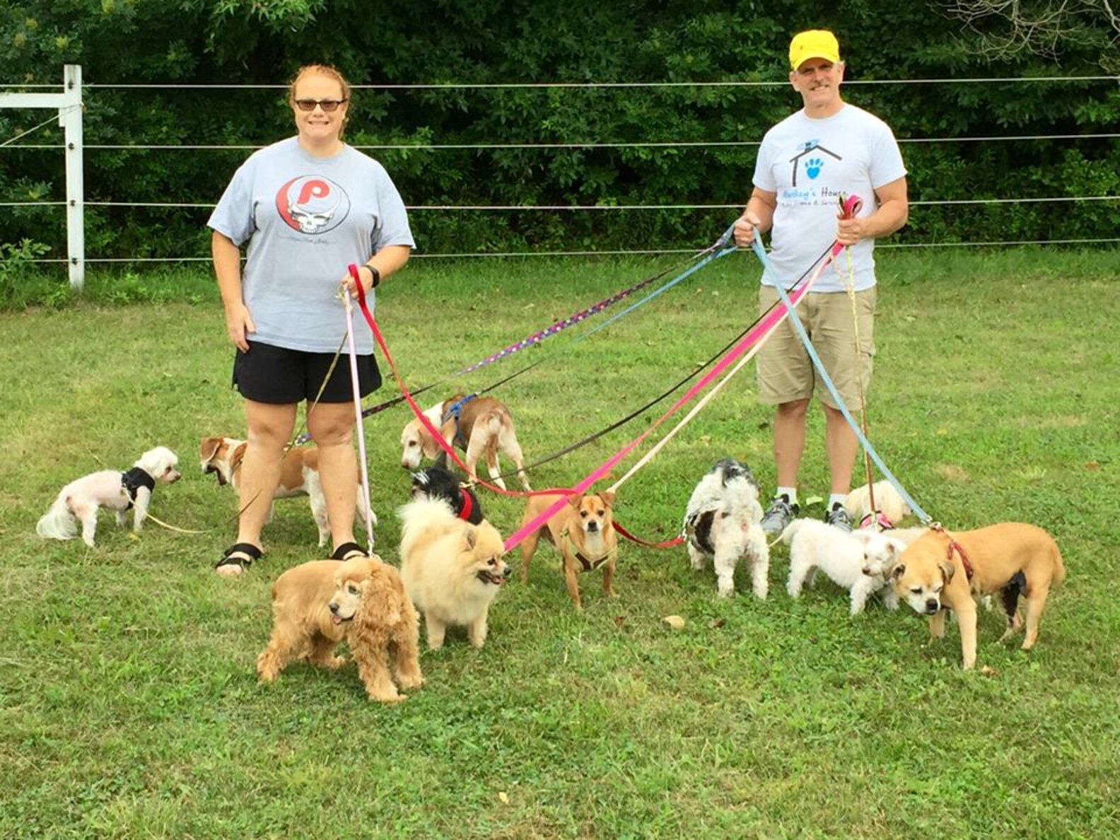 Senior Dogs Find Sanctuary On Farm Just For Them The Dodo