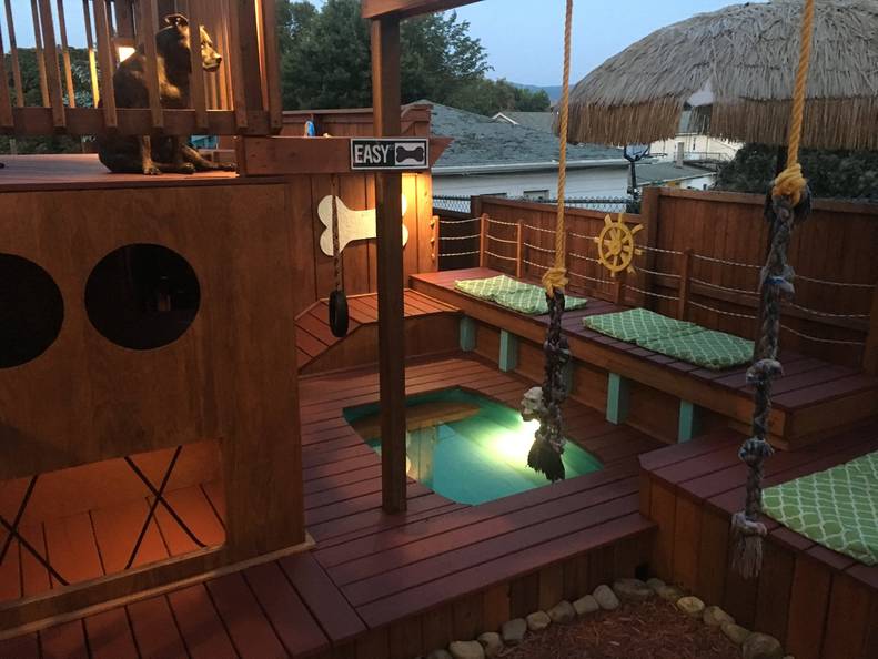 Guy Turns Backyard Into A Huge Dog Playground The Dodo