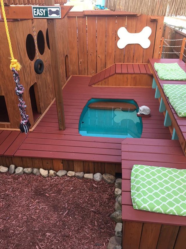 Guy Turns Backyard Into A Huge Dog Playground The Dodo